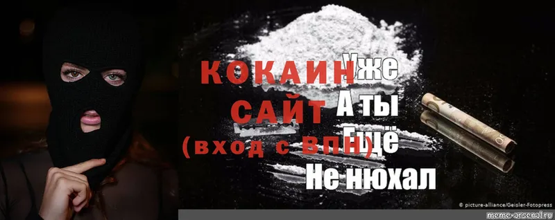 Cocaine Fish Scale  сколько стоит  Кандалакша 