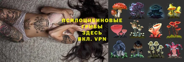 индика Нефтегорск