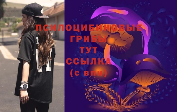 2c-b Няндома