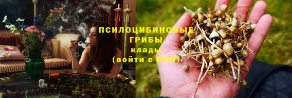 амф Нязепетровск