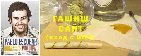 индика Нефтегорск