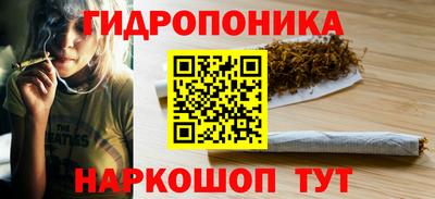 2c-b Заводоуковск