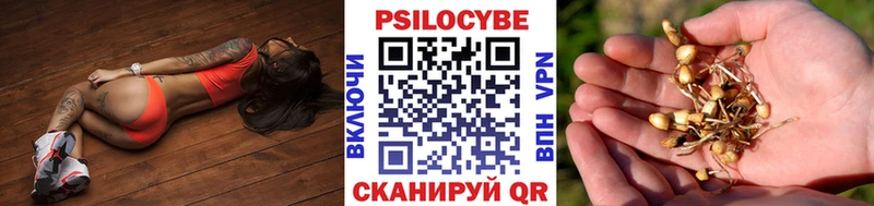 сколько стоит  Кандалакша  blacksprut зеркало  Галлюциногенные грибы прущие грибы 
