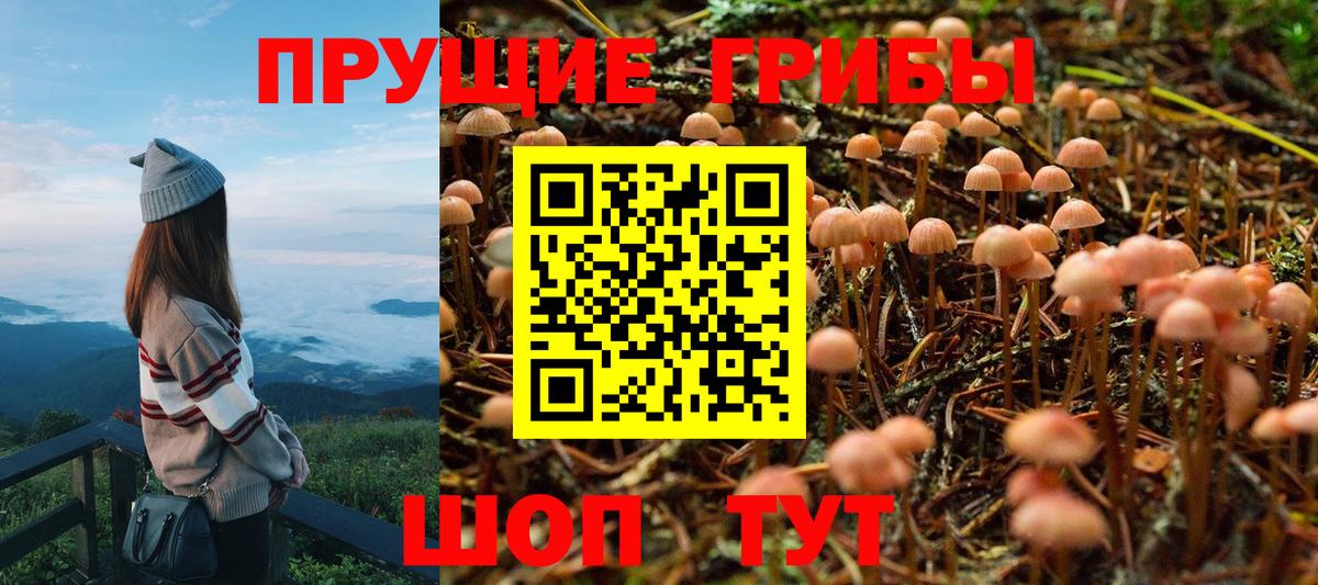 Псилоцибиновые грибы GOLDEN TEACHER Кандалакша