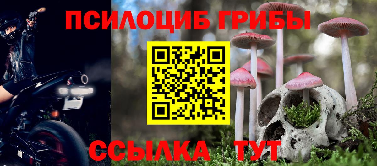 Галлюциногенные грибы Psilocybe  наркошоп  Кандалакша  Галлюциногенные грибы ЛСД 