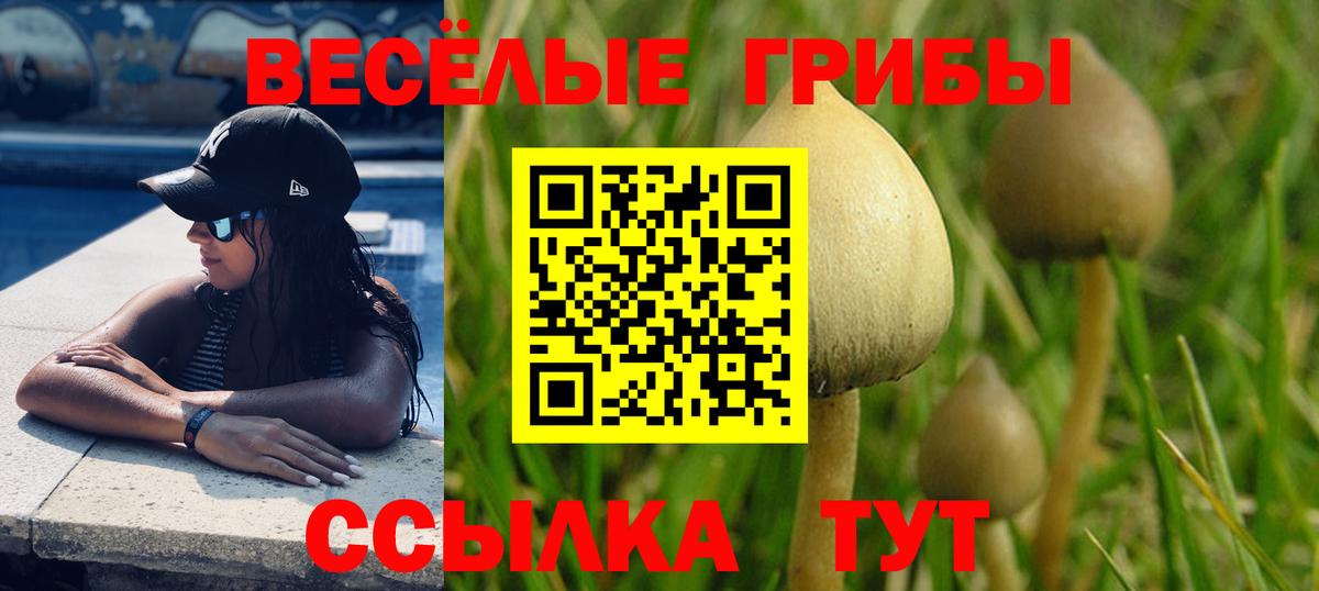 Кандалакша  Псилоцибиновые грибы Magic Shrooms  купить наркоту  Вход с VPN 